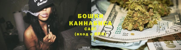 ПСИЛОЦИБИНОВЫЕ ГРИБЫ Аркадак