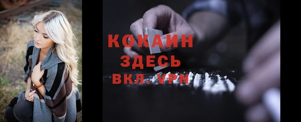 гидра Арсеньев