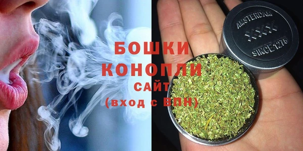 ПСИЛОЦИБИНОВЫЕ ГРИБЫ Аркадак