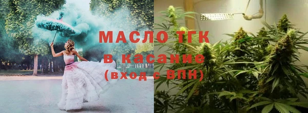 гидра Арсеньев