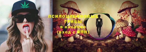 гидра Арсеньев