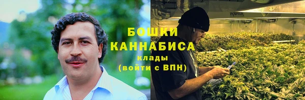ПСИЛОЦИБИНОВЫЕ ГРИБЫ Аркадак