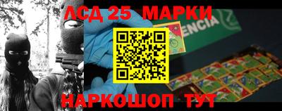 гидропоника Можга
