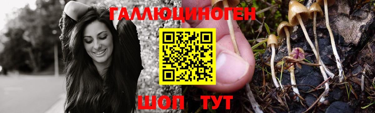Полысаево  Галлюциногенные грибы мухоморы  Вход с VPN 